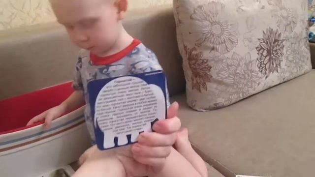 Где обитают животные? География. Стасу 3 г. смотреть онлайн