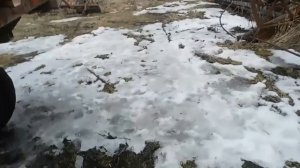 Купил МТЗ-82 с КУНом, прицепом! Обзор, запуск ТРАКТОРА! Легендарный ТРАКТОР из СССР!