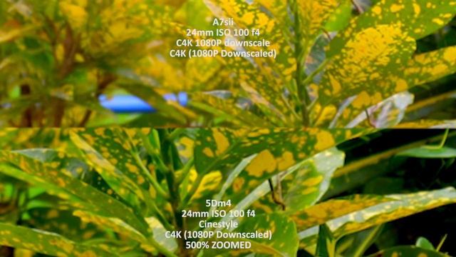 SONY A7Sii vs CANON 5D mark iv videography comparison смотреть онлайн