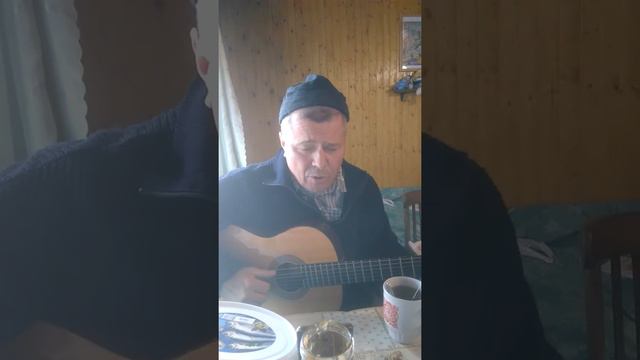 Брат Серёга поёт Высоцкого. смотреть онлайн