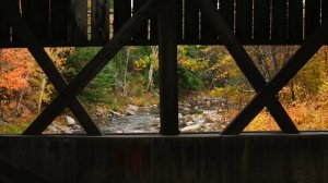 NEW HAMPSHIRE and VERMONT FALL FOLIAGE - Beautiful New England Fall Trip | Autumn Colors in 4K