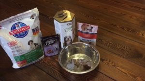 КАК ОТМЕТИТЬ ДЕНЬ РОЖДЕНИЯ СОБАКИ?