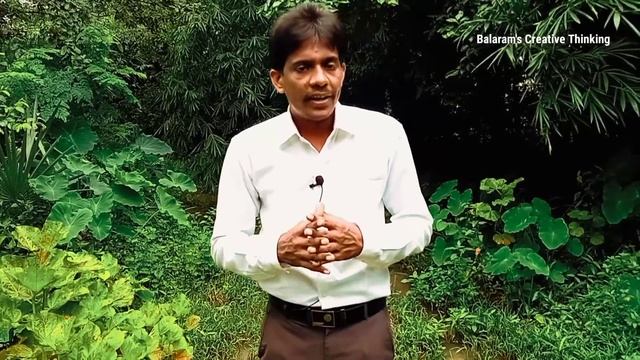 Distinguish between Flora and Fauna | flora and fauna | वनस्पतियों और जीवों के बीच भेद | Geography смотреть онлайн