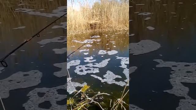 Мормышенг своими руками. смотреть онлайн