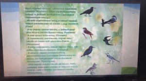 Занятие по развитию речи по теме Перелетные птицы весной