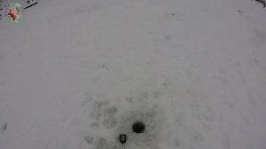 Щука на вибы и ратлины! Супер рыбалка в глухозимье!