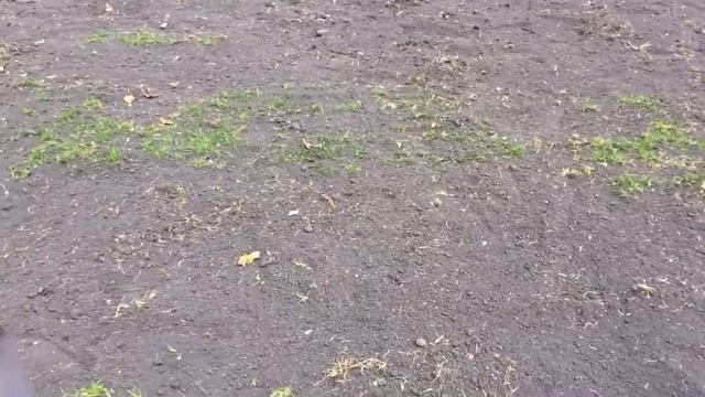 Строительные Размышления