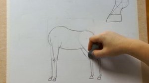 Как нарисовать лошадь карандашом. Поэтапный рисунок.