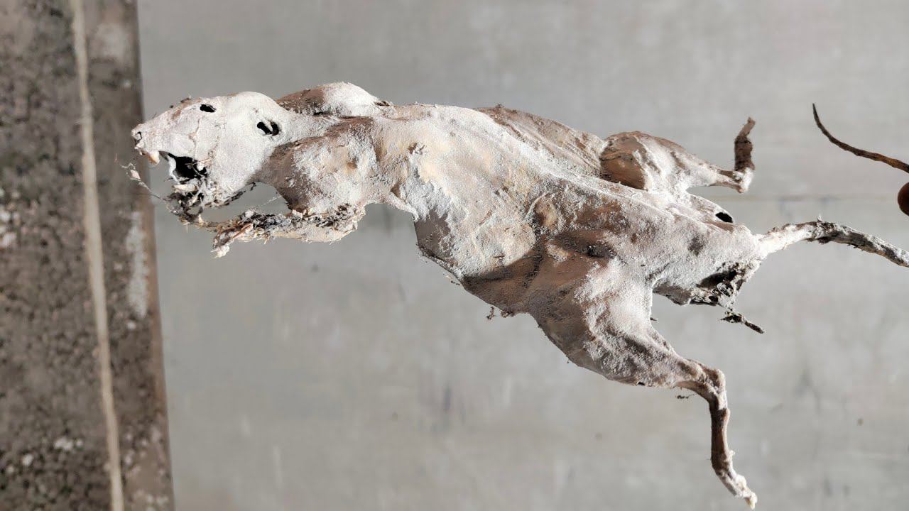 Шумоизоляция стены - 25 см. Квартиры-близнецы. Разгружающие балки в квартире и под квартирой. смотреть онлайн