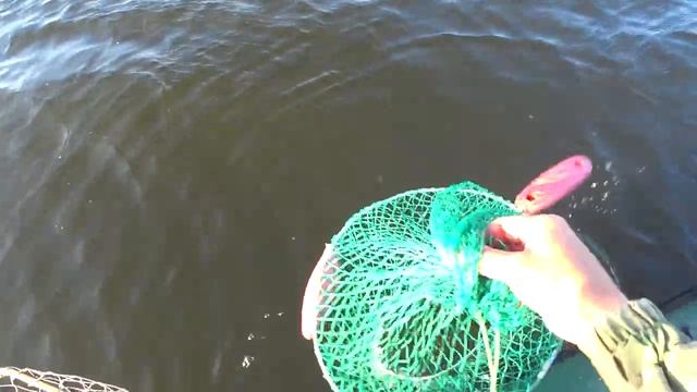 Рыбалка на щуку в июле 2022 на спиннинг смотреть онлайн