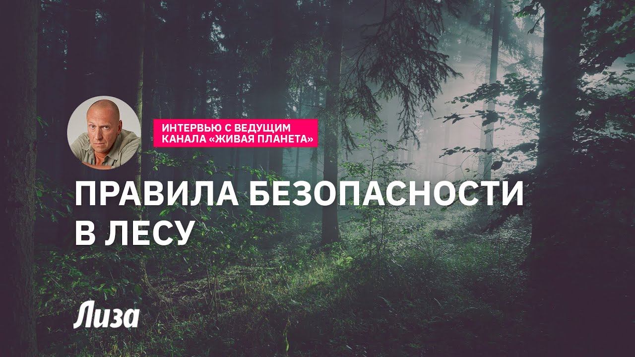 Техника безопасности в лесу смотреть онлайн