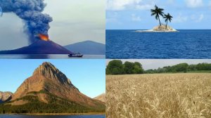 карточки домана природа часть 12