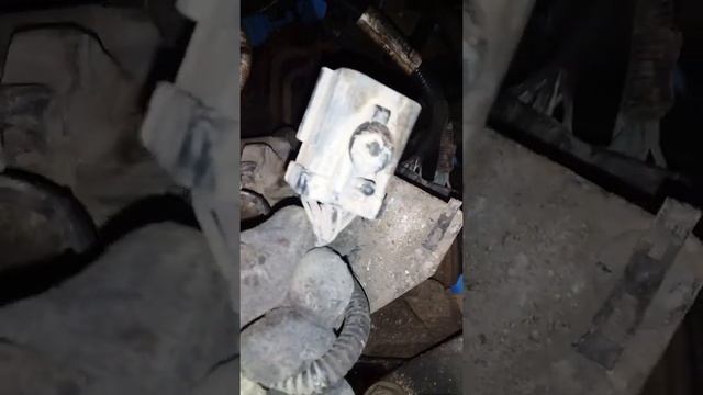 11 июня 2020 г. смотреть онлайн