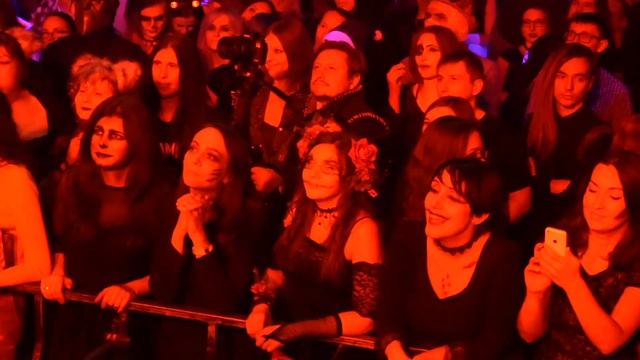 RedViolin - Pirates of the caribbean смотреть онлайн
