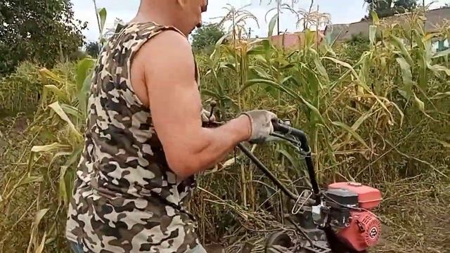 МОТОБЛОК ВАМ В ПОМІЧ ! (Не про бджілок ) смотреть онлайн
