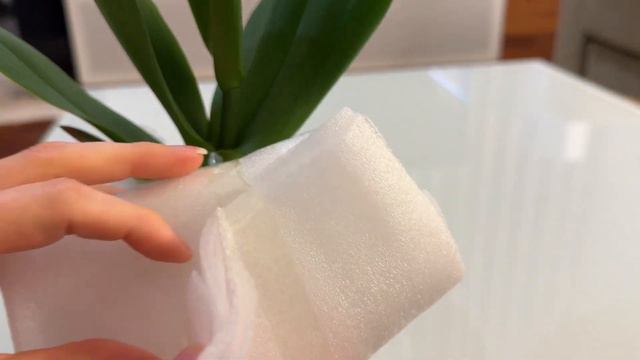 Как упаковать орхидею для отправки зимой! Орхидея фаленопсис с доставкой почтой смотреть онлайн