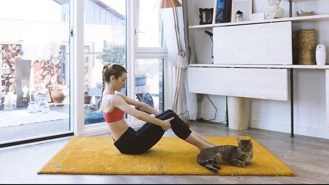 How to Get Rid of Love Handles for a FLAT belly | ABS Workout смотреть онлайн