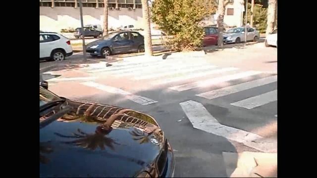 Поездка по Аликанте, Рассказ о городе и Недвижимости в Испании и Аликанте, Сергей Езовский смотреть онлайн