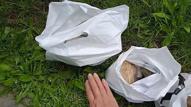 Украшаю планету, как могу! ???Время собирать камни! смотреть онлайн