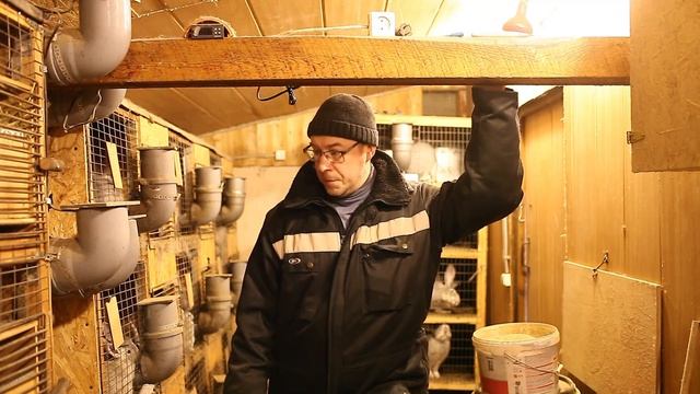 Вентиляция и обогрев у кроликов зимой! смотреть онлайн