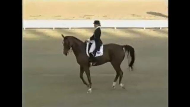 Isabell Werth & Gigolo,WEG Rome 1998