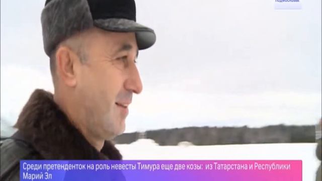 Козёл Тимур послал сватов козе Меркель. Находковскую Маньку он уже забодал. смотреть онлайн