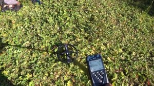 Minelab Equinox 600 и XP Deus сравниваем глубину металлоискателей
