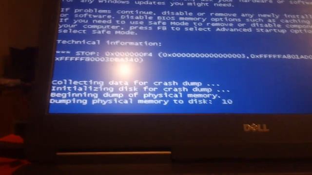 PBS Kids Dandelion BSOD смотреть онлайн