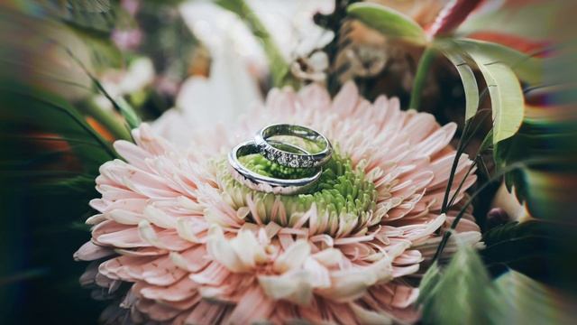Romantic Piano Wedding AMBIENCE ?? смотреть онлайн