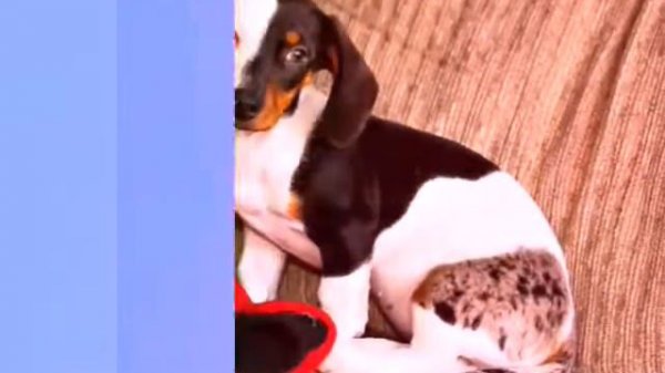 Красивые картинки!