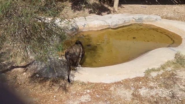 Секреты домашней жизни