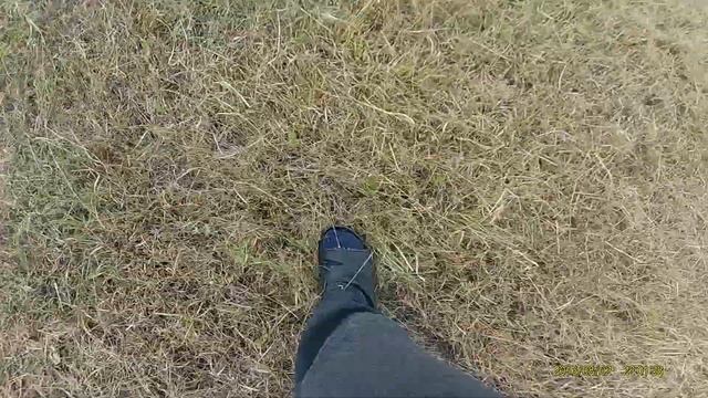 Сгребание сена! Трактором мтз 80 + гвк-6! смотреть онлайн