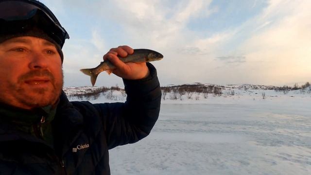 ВОЛКИ ГДЕ-ТО РЯДОМ!!В ГОРЫ ЗА ГОЛЬЦОМ смотреть онлайн
