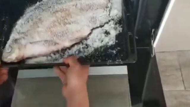 Зоопарк и Дикие Животные