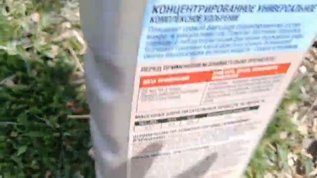 Обзор клубники ,капельный полив,  подкормка.