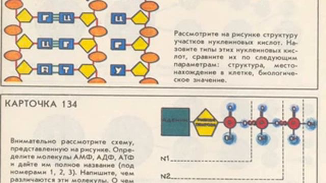 Карточки А.М. Розенштейна (Общая биология).AVI смотреть онлайн