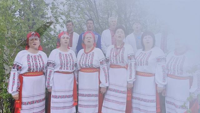 "Мати журавлика жде" слова В.П. Приза музика О. І. Стадника смотреть онлайн