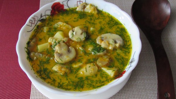 ГРИБНОЙ СУП ИЗ ШАМПИНЬОНОВ РЕЦЕПТ