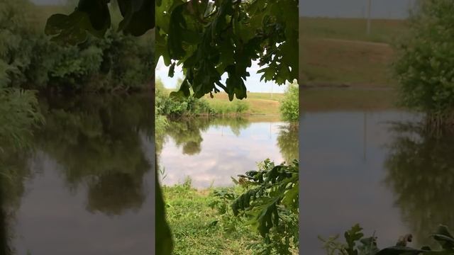 Душевные практики в Радосвете смотреть онлайн