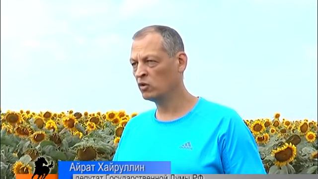 подсолнечник рус смотреть онлайн