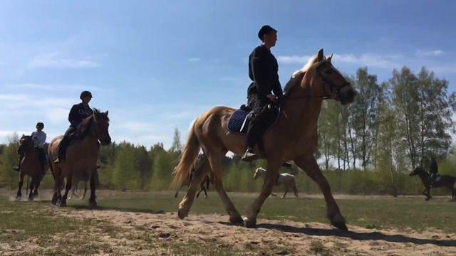 Майская смена 2019 в конном лагере "КАЗАЧОК" смотреть онлайн