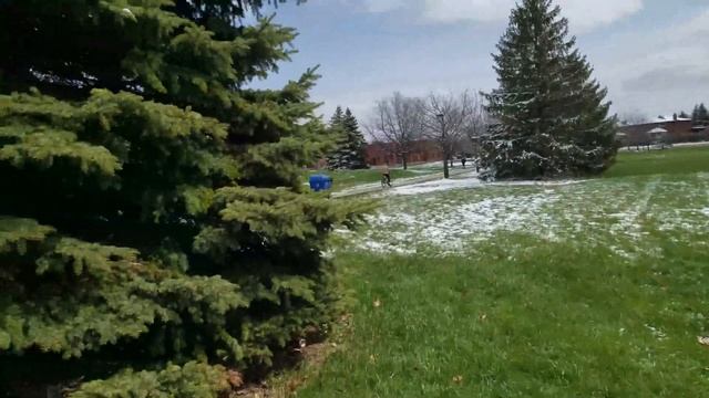Снег в апреле ❄ April snow? 2021-04-21 | Жизнь в Канаде ?? смотреть онлайн