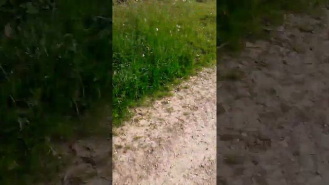 закулисье 3 я попал на улуцу вся техника работает страна смотреть онлайн