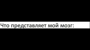Приколы! КАК КОТ БУДИТ МЕНЯ – МЕМЫ - АНИМАЦИЯ!!! Смешные видео от Доми шоу!