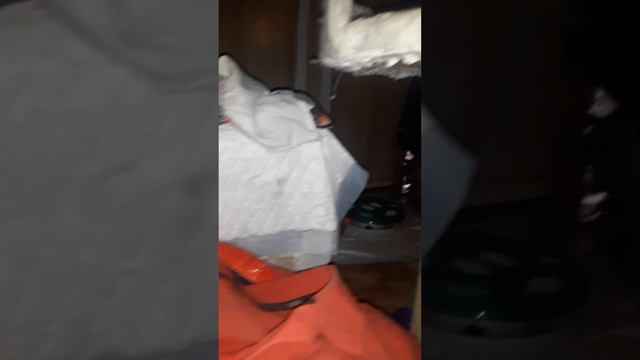 18 февраля Синти роды. 🤔кто ж там у нас родится? смотреть онлайн