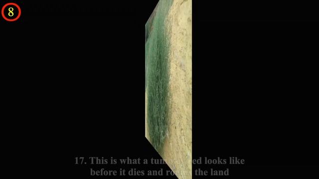 Photos That Can Change The Way You See The World In Only 5 Minutes смотреть онлайн