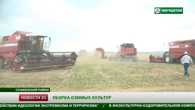 Минтруд Ингушетии провел рейды по выявлению незаконных безработных смотреть онлайн