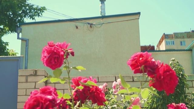 ЛЕТО!!! Чем заняться, чтобы не готовиться к экзаменам)) смотреть онлайн