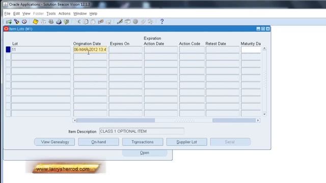 INV Lot Control and Setup, Oracle Applications Training смотреть онлайн