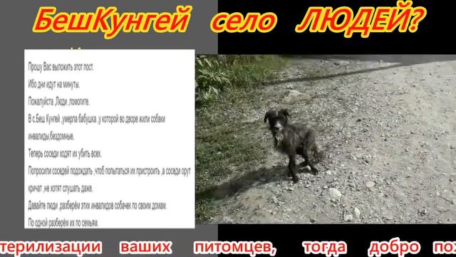 Беш Кунгей - cело людей??? смотреть онлайн